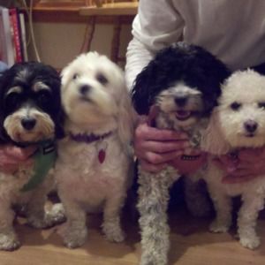 Meet your Posher, Kathleen